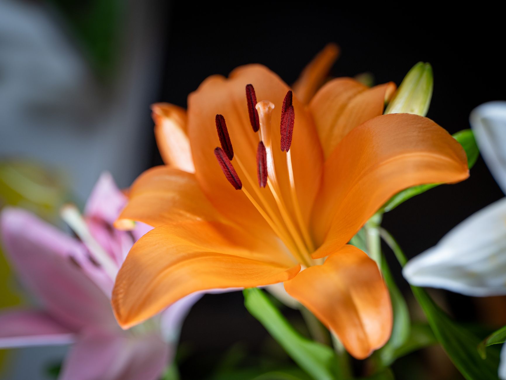 Livraison fleurs à Vincennes